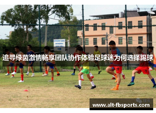 追寻绿茵激情畅享团队协作体验足球迷为何选择踢球